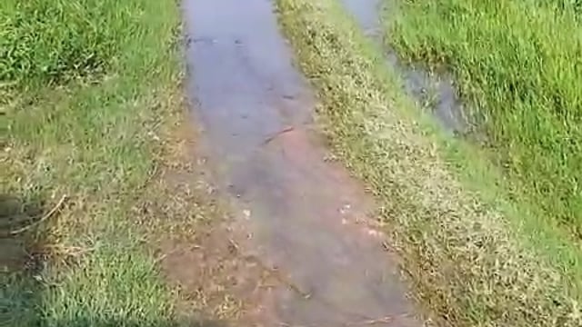 प्रतापगढ़ जिले के बिहार ब्लॉक के पीथींपुर ग्राम सभा मेंग्रामीणों ने लगाया ग्राम प्रधान पर बड़ा आरोप जल भराव की समस्या,