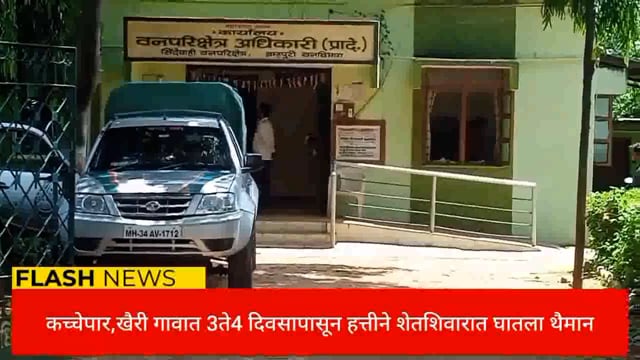 कच्चेपार,खैरी  गावात चार दिवसापासून हत्तीने शेत शिवारात मांडला थैमान, शेतकऱ्याचे पिकाचे नुकसान. 