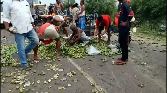 कमलगढ़ गांव के समीप पिकअप में लदा अमरूद अनियंत्रित होने के कारण रोड पर पलटा बाल बाल बचा चालक.