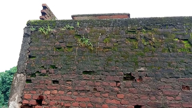 କୋରାପୁଟ ପି ଏଚ  ଡି କଲୋନୀ  ରେ ଘର  ର ଅବସ୍ଥା ଶୋଚନୀୟ l