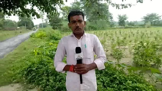 गोंडा में लगातार रिमझिम बारिश से जनजीवन अस्त व्यस्त किसानों की फसल का हो रहा नुकसान