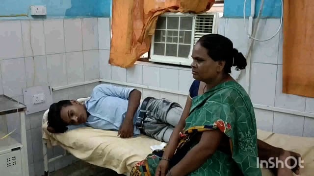 लखीसराय जिले के हलसी प्रखंड मुख्यालय मंदिर के समीप बैठे एक किशोर को सांप ने डंसा 