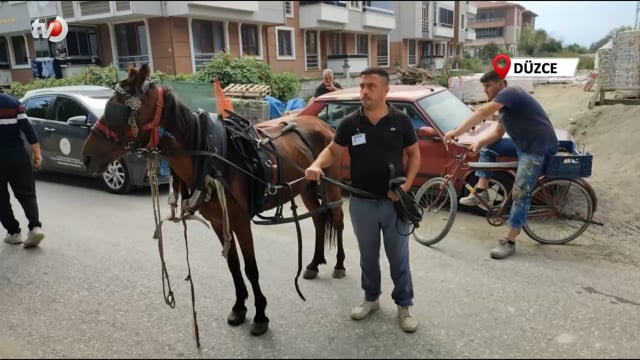 Araca Çarpınca Atını Arabasını Bırakıp Kaçtı