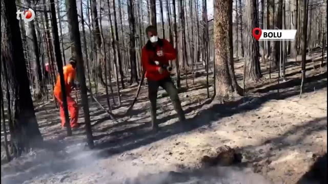 Ormanların Biyolojik Mücadele Ajanları Yangında Kurtarıldı