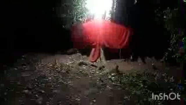 नये गांव पारासराय पीपल वृक्ष व उसके आसपास वर्षों से हिंदुओं की आस्था पर चोट देकर जमीन को हड़पने की चल रही है साजिश