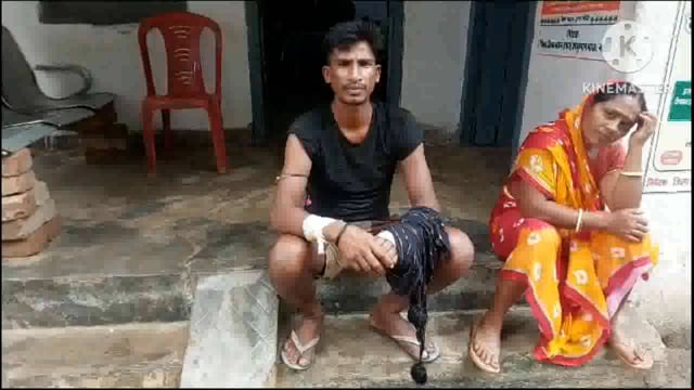 सिरदला प्रखंड के कई गांव में पागल कुत्ते ने काटा 21 लोग हुए जख्मी