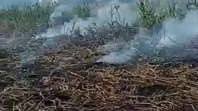 दबंगो ने खड़ी फसल में लगाई आग विरोध करने पर मां-बेटी को पीटा