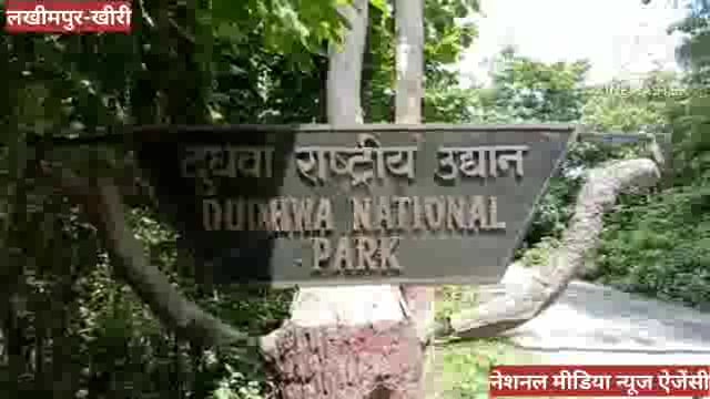 बनकटी रेंजर द्वारा मीडियाकर्मी से की गयी अभद्रता से आक्रोशित ऐपवा ने दिया पत्रकारों को समर्थन