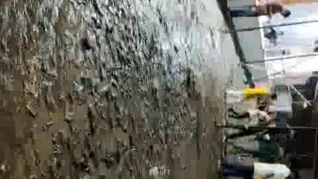 m East वॉर्ड के सामने गणपति बप्पा विसर्जन करने के लिए तालाब बनाए गया है, कीचड़ से भरा है 