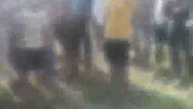 करंडे से लुटौत जाने वाली सड़क मार्ग में पुलिया के पास मिली अर्धजली लाश की परिजनों की पहचान।