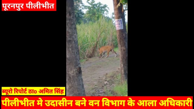 पीलीभीत मे उदासीन बने वन विभाग के आला अधिकारी