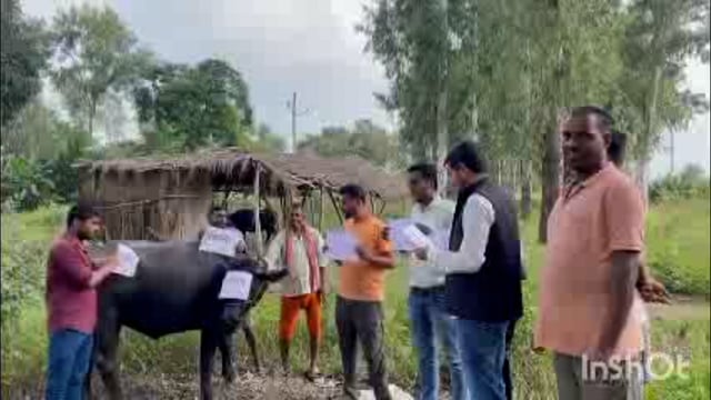 गोंडा में विश्वविद्यालय की मांग करने की दिखी अनोखी पहल,छात्र पंचायत के द्वारा भैंस को दिया गया ज्ञापन