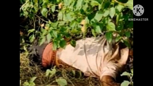 सत्संगियों द्वारा लगाए गए गीत और वेरीगेटेड के अंतर्गत आने वाले खेत में मिला सत्याग्रस्त अज्ञात सब खेतों में पानी देने के