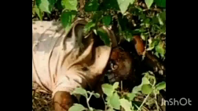 थाना न्यू आगरा दयालबाग क्षेत्र अमर विहार चौकी का मामला क्षतिग्रस्त 5 दिन पुराना नहर में मिला अज्ञात सव् 