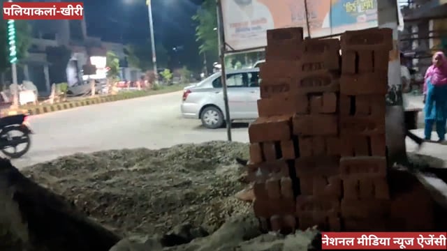 पलिया नगर में दिखा कवरबिज्जू