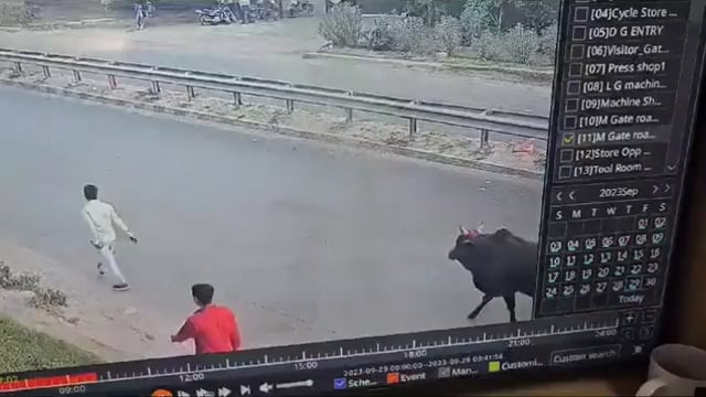 बाइक सवार युवक की टक्कर आवारा सांड से हुई बाइक सवाल गिर गया और ट्रक की चपेट में आने से उसकी मौत हो गई इस मौत का जिम्मेदा