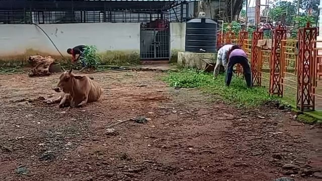 କୋରାପୁଟ : ସ୍ୱଚ୍ଛତା ହିଁ ସେବା ଅଭିଯାନ ର କାର୍ଯ୍ୟକ୍ରମ ରେ  ଭାରତୀୟ  ଜନତା ପାର୍ଟୀ କଲା ଶ୍ରମ ଦାନ, କାର୍ଯକର୍ତ୍ତା ମାନଙ୍କ ମଧ୍ୟରେ ଉତ୍ସହ