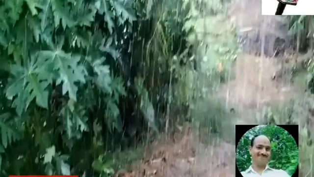 बरसात में किसनेों के मुख पर भी प्रसन्नता