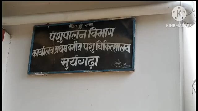पशुपालन विभाग के जिला के सभी टीका कर्मी  के द्वारा जिला धरना स्थल पर 4 अक्टूबर को दी जानी है धरना प्रदर्शन।