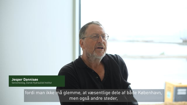 Jesper Dannisøe