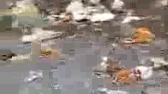 गणेश पूजा करने के बाद इस तरह की गलतियां ना करें विसर्जन करें तो यमुना गंगा में ही करें उल्टी सीधी जगह पर विसर्जन ना करें