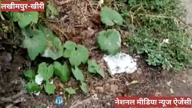 प्रधानपति की प्रताड़ना से परेशान ग्रामीण ने लगाई न्याय की गुहार