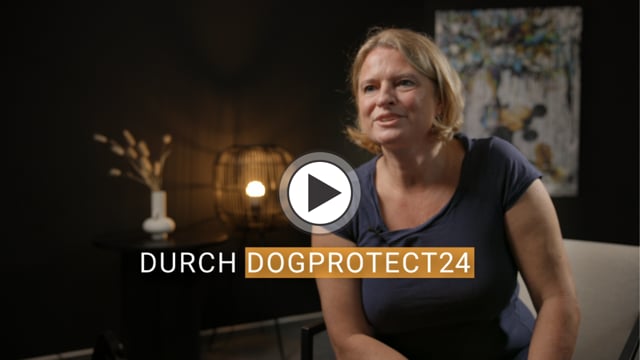 "So funktioniert die Versicherung wirklich"