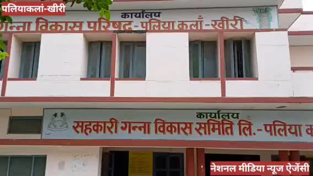 वादे पर खरा नहीं उतरा पलिया का बजाज चीनी मिल प्रबन्धन, किसानों को नहीं मिला बकाया गन्ना भुगतान