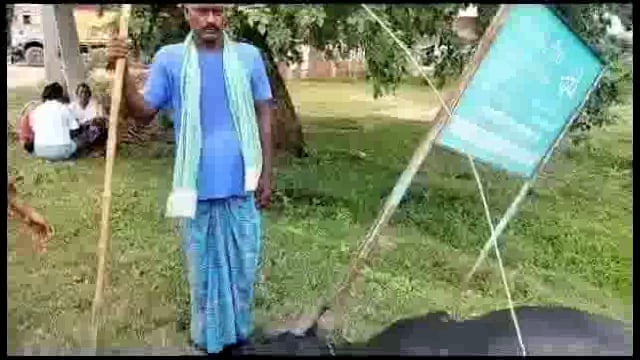चेवाड़ा गैस गोदाम के समीप करंट लगने से एक भैंस की हुई मौत