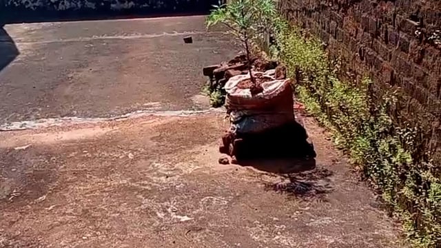 କୋରାପୁଟ, ପି, ଏଚ . ଡି. କଲୋନୀସ୍ଥ କୋଠା  ଘର  ଜରାଜୀର୍ଣ l 