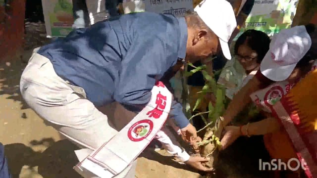 लखीसराय जिला मुख्यालय परिसर में बेटी बचाओ बेटी अभियान के तहत डीएम ने किया वृक्षारोपण