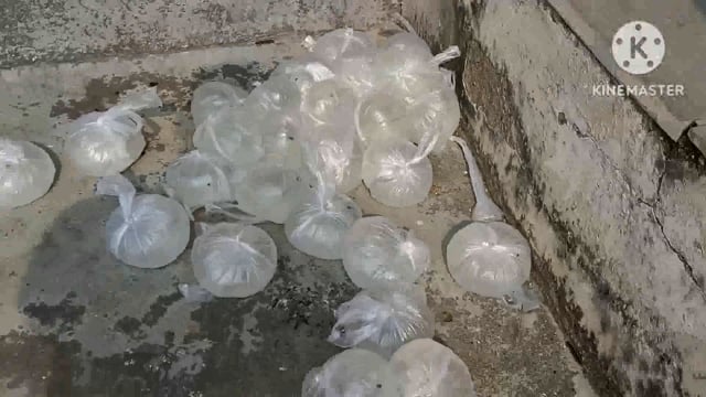 फुल्लीडुमर थाना की पुलिस 26 लीटर देसी महुआ किया जप्त, अज्ञात शराब कारोबारी फरार