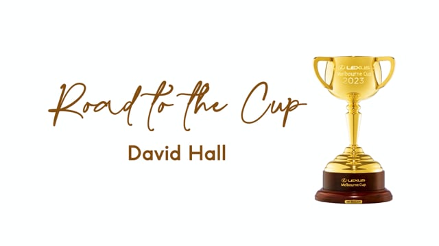 David Hall - Road To The Cup