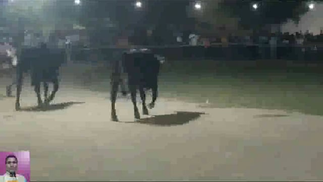 Hapur Jile mein Ramleela Maidan mein ghuskar machaya utpad