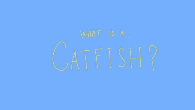 Catfish Promo