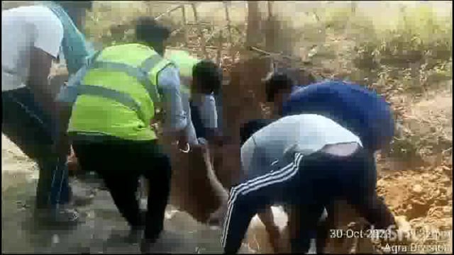 फरह नेशनल हाईवे सचदेवा कॉलेज के पास गोवंश का हुआ एक्सीडेंट बृजवासी गौ रक्षक कार्यकर्ताओं द्वारा किया गया अंतिम संस्कार