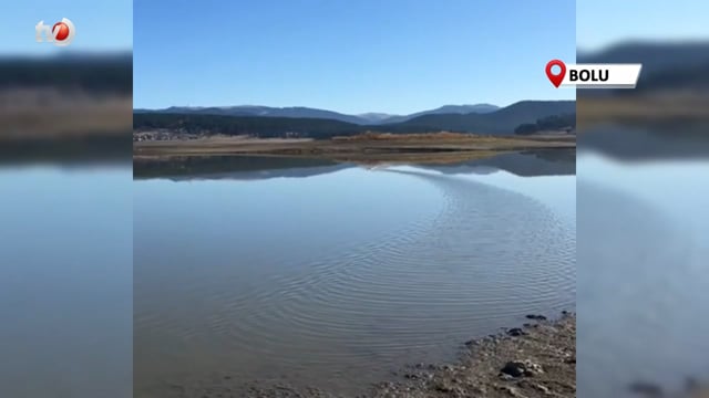 Yorgun Düşen Göçmen Kuş, Tekrar Doğaya SalındıYorgun Düşen Göçmen Kuş, Tekrar Doğaya Salındı