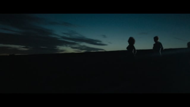 SEA HOLLY - teaser