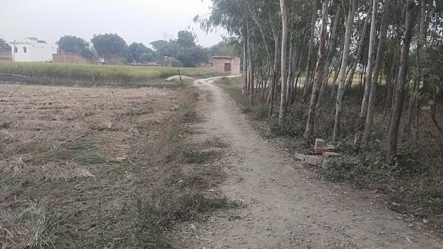 बिहार ब्लॉक के करमाजीत पट्टी में जिला पंचायत से स्वीकृति हुई सड़क गिट्टी गिराकर एक वर्ष से ठेकेदार हुआ नदारत,