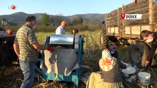 Düzce’nin Coğrafi İşaretli Ürünü Kazana Girdi