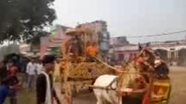 चेवाड़ा के बेलदारी टोला स्थित काली मंदिर परिसर से काली पूजा को लेकर 301 कन्याओं का निकल गया कलश यात्रा.