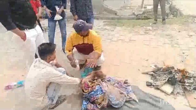 मात्र कुछ घंटे पहले जन्मे गाय के बछड़े को नाले में फेंका गौ रक्षों ने बचाया