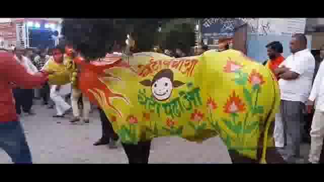 शहरात गवळी समाजाने काढली रेड्याची भव्य मिरवणूक,अनेकांचे वेधले लक्ष