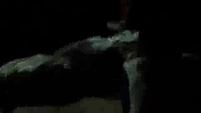 बडी खबर अभी तक नही हुआ है अन्तिम संस्कार डैड बोडी दुर्घटना करने बाले के घर पर रख रखी है और हंगामा जारी है