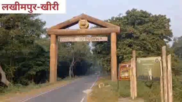 15 नवम्बर (आज) से खुले दुधवा टाइगर रिजर्व के कपाट