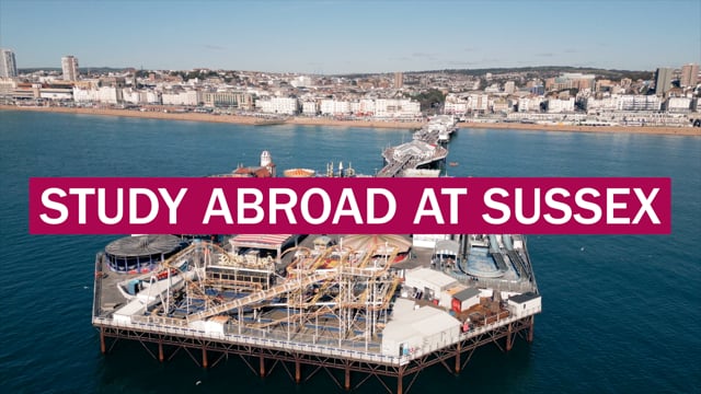 Study Abroad at Sussex