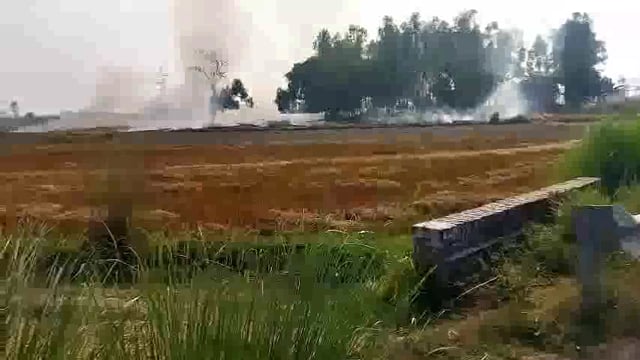 पराली जलाने से वायु प्रदूषण के साथ किसानो की जमीन हो रही बंजर, किसानो की आमदनी मे कमी,पशुओ के चारा का संकट
तहसील लालगंज