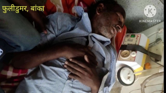 मधुमक्खी के हमले से गनोरा गांव के 60 वर्षीय व्यक्ति बुरी तरह जख्मी, प्राथमिक उपचार के बाद बांका किया गया रेफर 