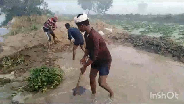 मथुरा के सहार राजवाह में अचानक आये पानी से अलवाई के किसानों की फसल हुयी बर्बाद कार्यवाहीव मुआवजे की ग्रामीणों ने की मांग