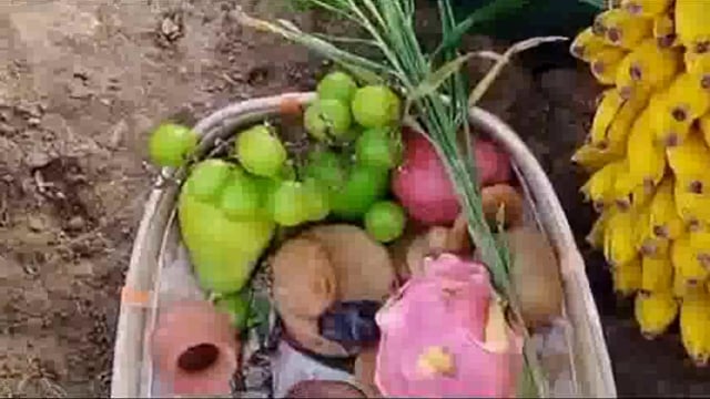 महापर्व छठ के डालियों व सूपों मे विदेशी फल 